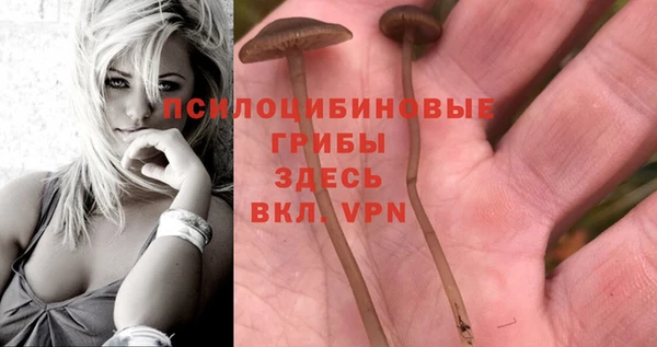 меф Медногорск